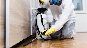 Best Pest Prevention Services  in Birch Run, MI